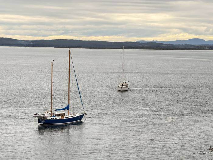 Yachts moored in Port Stephens, viewed from Riviera
